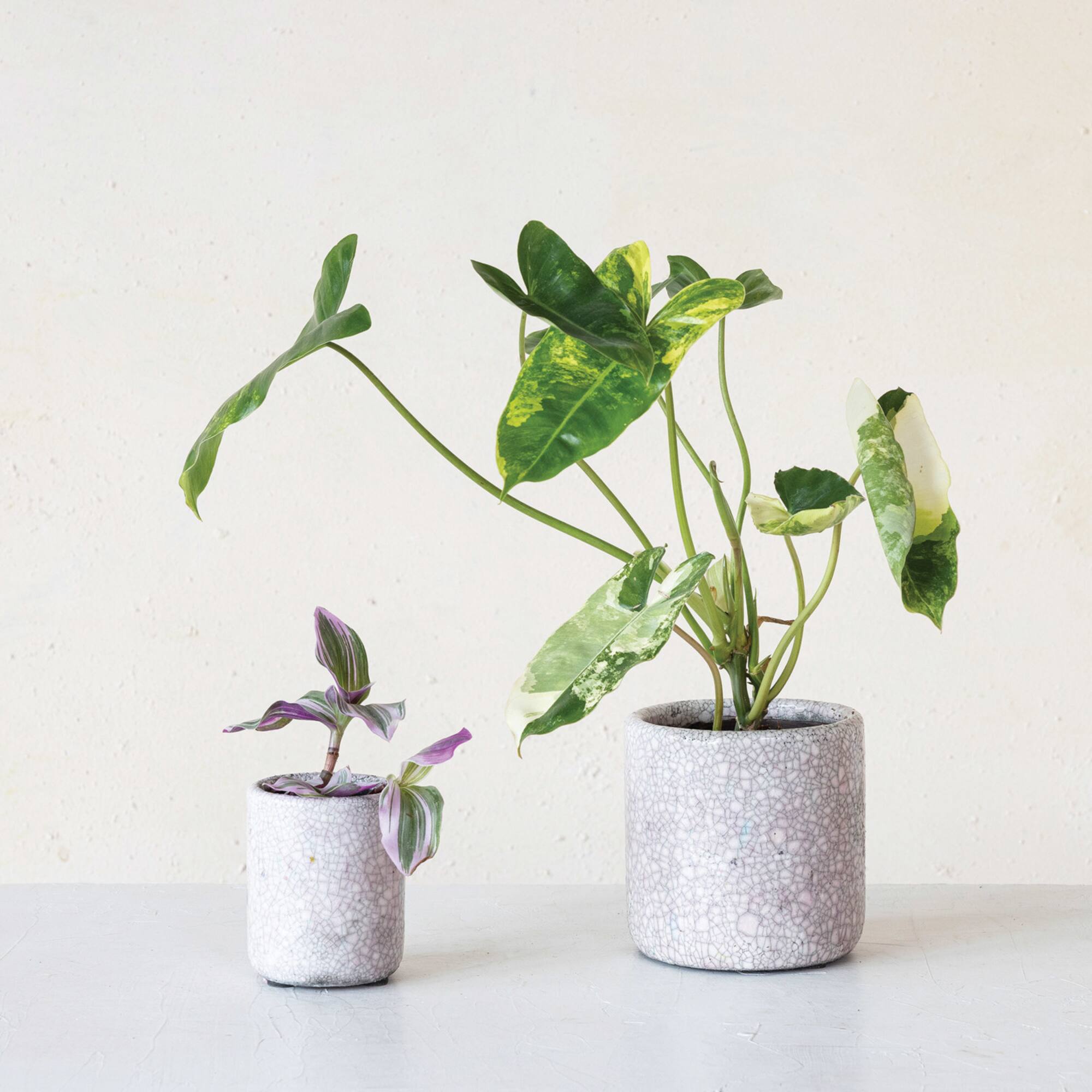 Hello Honey® 4.75" Matte Pink Crackle Glaze Decorative Terra Cotta Planter